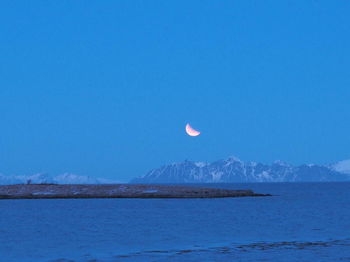 Lofoten Ocean View - Sandoy Gard Sand  外观 照片
