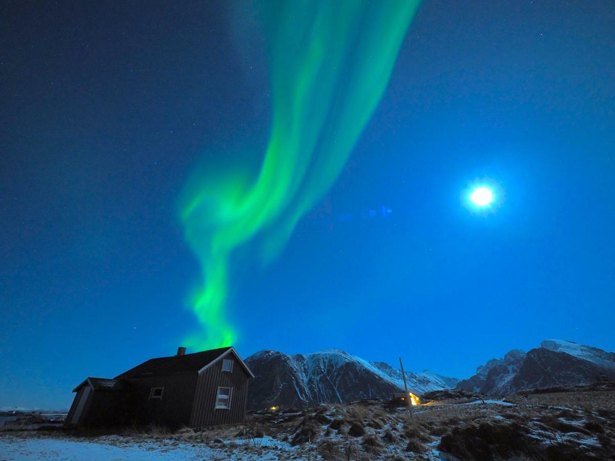Lofoten Ocean View - Sandoy Gard Sand  外观 照片