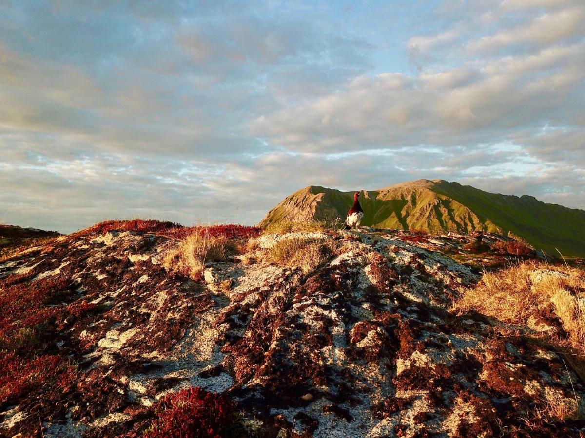 Lofoten Ocean View - Sandoy Gard Sand  外观 照片